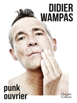 cover image of Punk ouvrier